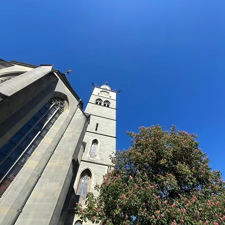 Traumhafte See- Und Alpensicht